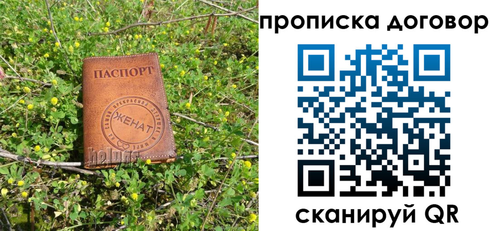 прописка регистрация в Мончегорске